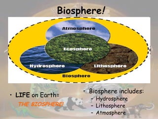 Biosphere ! LIFE  on Earth= THE BIOSPHERE! Biosphere includes: Hydrosphere Lithosphere Atmosphere 