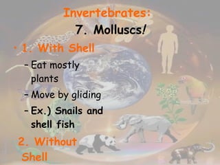 Invertebrates:   7. Molluscs ! 1. With Shell Eat mostly plants Move by gliding Ex.) Snails and shell fish 2. Without Shell - Ex.) jellyfish, slugs, octopus 