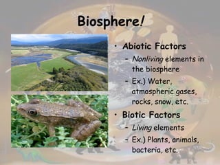 Biosphere ! Abiotic Factors Nonliving  elements in the biosphere Ex.) Water, atmospheric gases, rocks, snow, etc. Biotic Factors Living  elements  Ex.) Plants, animals, bacteria, etc. 