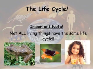 The Life Cycle ! Important Note! Not ALL living things have the same life cycle!! 