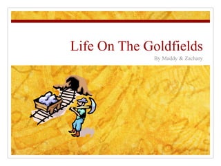 Life On The Goldfields By Maddy & Zachary 