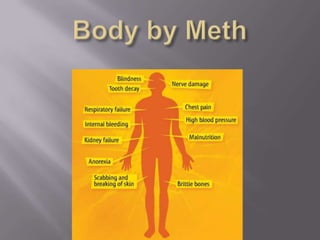 Body by Meth