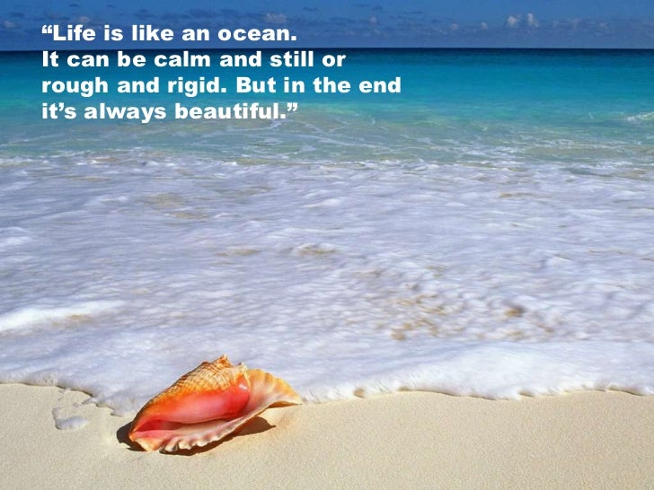 Life Metaphors slideshow