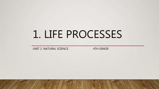 1. LIFE PROCESSES
UNIT 1. NATURAL SCIENCE. 4TH GRADE
 