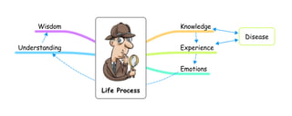 Wisdom                    Knowledge
                                            Disease
Understanding                  Experience


                               Emotions


                Life Process
 