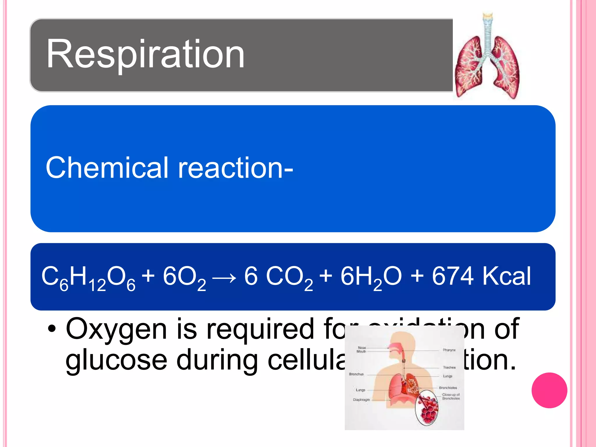 Respiration
Chemical reaction-
C6H12O6 + 6O2 → 6 CO2 + 6H2O + 674 Kcal
• Oxygen is required for oxidation of
glucose during cellular respiration.
 