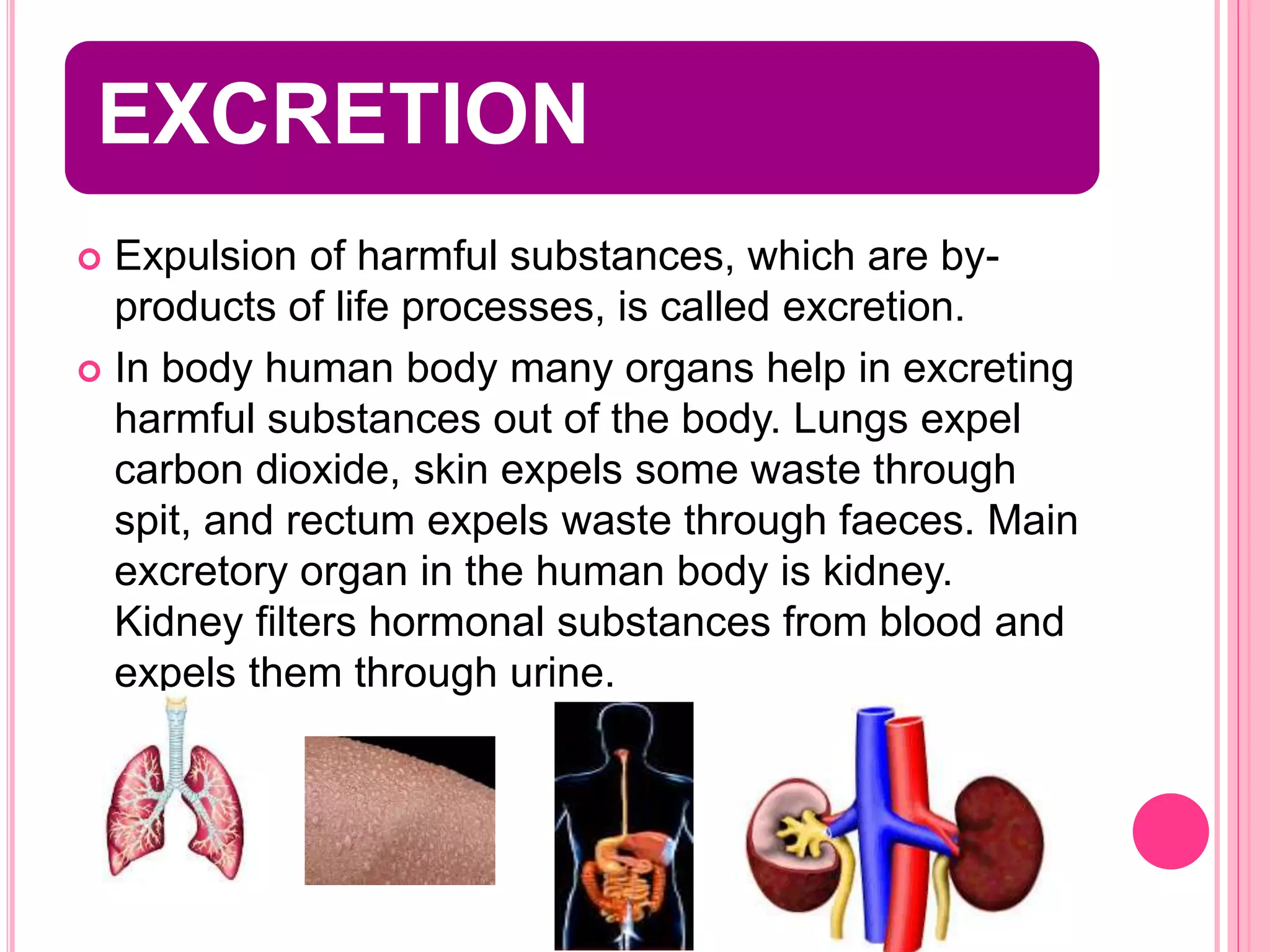 EXCRETION
 Expulsion of harmful substances, which are by-
products of life processes, is called excretion.
 In body human body many organs help in excreting
harmful substances out of the body. Lungs expel
carbon dioxide, skin expels some waste through
spit, and rectum expels waste through faeces. Main
excretory organ in the human body is kidney.
Kidney filters hormonal substances from blood and
expels them through urine.
 