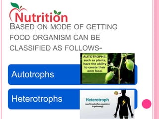 BASED ON MODE OF GETTING
FOOD ORGANISM CAN BE
CLASSIFIED AS FOLLOWS-
Autotrophs
Heterotrophs
 