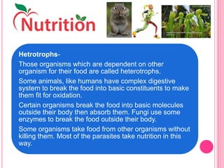 Hetrotrophs-
Those organisms which are dependent on other
organism for their food are called heterotrophs.
Some animals, like humans have complex digestive
system to break the food into basic constituents to make
them fit for oxidation.
Certain organisms break the food into basic molecules
outside their body then absorb them. Fungi use some
enzymes to break the food outside their body.
Some organisms take food from other organisms without
killing them. Most of the parasites take nutrition in this
way.
 