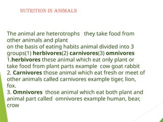 Nutrition in animals
The animal are heterotrophs they take food from
other animals and plant
on the basis of eating habits animal divided into 3
groups(1) herbivores(2) carnivores(3) omnivores
1.herbivores these animal which eat only plant or
take food from plant parts example cow goat rabbit
2. Carnivores those animal which eat fresh or meet of
other animals called carnivores example tiger, lion,
fox.
3. Omnivores those animal which eat both plant and
animal part called omnivores example human, bear,
crow
 