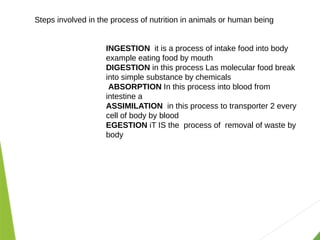Steps involved in the process of nutrition in animals or human being
INGESTION it is a process of intake food into body
example eating food by mouth
DIGESTION in this process Las molecular food break
into simple substance by chemicals
ABSORPTION In this process into blood from
intestine a
ASSIMILATION in this process to transporter 2 every
cell of body by blood
EGESTION iT IS the process of removal of waste by
body
 