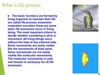 What is life process
● The basic functions are formed by
living organism to maintain their life
are called life process movement
respiration excretion these are some
basic life processes occur in living
being. The most important criteria to
decide whether something is alive is
movement. All living things move
without the help of any external help.
Some movements are easily visible
like the movements of body parts.
Some movements are not easily
visible like molecular movements.
The molecular movements in cells
and tissues is necessary for all life
processes.
 