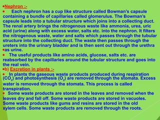 ●Nephron :-
● Each nephron has a cup like structure called Bowman’s capsule
containing a bundle of capillaries called glomerulus. The Bowman’s
capsule leads into a tubular structure which joins into a collecting duct.
The renal artery brings the nitrogenous waste like ammonia, urea, uric
acid (urine) along with excess water, salts etc. into the nephron. It filters
the nitrogenous waste, water and salts which passes through the tubular
structure into the collecting duct. The waste then passes through the
ureters into the urinary bladder and is then sent out through the urethra
●as urine.
● The useful products like amino acids, glucose, salts etc. are
reabsorbed by the capillaries around the tubular structure and goes into
the real vein.
●b) Excretion in plants :-
● In plants the gaseous waste products produced during respiration
(CO2
) and photosynthesis (O2
) are removed through the stomata. Excess
water is removed through the stomata. This process is called
transpiration.
● Some waste products are stored in the leaves and removed when the
leaves dry and fall off. Some waste products are stored in vacuoles.
Some waste products like gums and resins are stored in the old
xylem cells. Some waste products are removed through the roots.
 