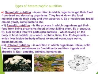 ●i) Saprohytic nutrition :- is nutrition in which organisms get their food
from dead and decaying organisms. They break down the food
material outside their body and then absorbs it. Eg :- mushroom, bread
mould, yeast, some bacteria etc.
● ii) Parasitic nutrition :- is the process in which organisms get their
food from living organisms (host) without killing them. Eg :- cuscuta,
●It. Sub divided into two parts ecto parasite – which loving on the
body of host outside .ex – leach orchids, ticks, lice, Endo parasite –
which lives inside the body of host .ex-round worm, tape worm,
plasmodium etc.
●iii) Holozoic nutrition :- is nutrition in which organisms intake solid
food or organic substances as food directly and then digests and
absorbs it. Eg :- amoeba, animals, humans etc.
Types of heterotrophic nutrition
 