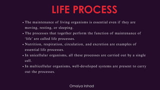 Living Systems Unveiled: Simplified Life Processes for Exam Success | PDF