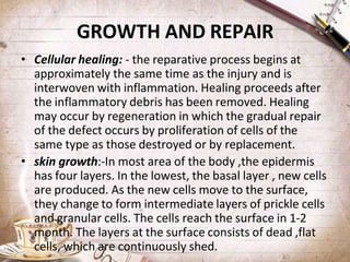 lifeprocess-Hemostatic mechanism L. Suneetha 18.01.2024.pptx