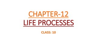 Life Process Chapter Life process 2 | PPTX