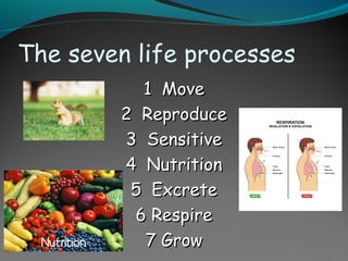 Moving Life Processes Lifeprocesses 120620100700-phpapp01 | PPT