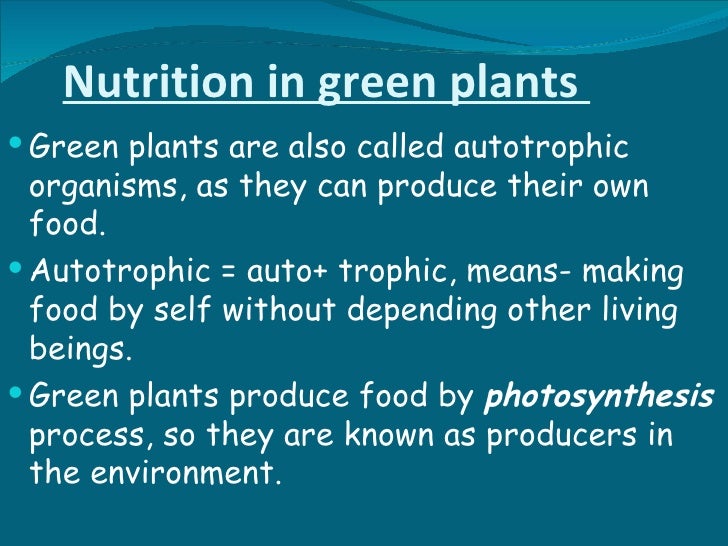 Why do plants produce their own food?