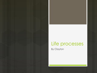 Life processes
By Clayton
 