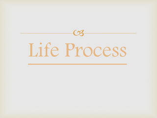 
Life Process
 