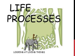 LIFE
PROCESSES
LOOKING AT LIVING THINGSLOOKING AT LIVING THINGS
 