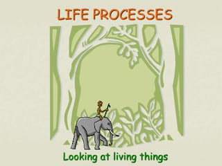 LIFE PROCESSES 
Looking at living things 
 