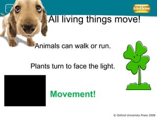 All living things move! 
© Oxford University Press 2008 
Animals can walk or run. 
Plants turn to face the light. 
Movement! 
 