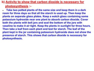 b) Activity to show that carbon dioxide is necessary for
photosynthesis :-
● Take two potted plants of the same size and keep them in a dark
room for three days so that all the starch is used up. Then keep the
plants on separate glass plates. Keep a watch glass containing some
potassium hydroxide near one plant to absorb carbon dioxide. Cover
both the plants with bell jars and seal the bottom of the jars with
vaseline to make it air tight. Keep the plants in sunlight for three hours.
Then take a leaf from each plant and test for starch. The leaf of the
plant kept in the jar containing potassium hydroxide does not show the
presence of starch. This shows that carbon dioxide is necessary for
photosynthesis.
 