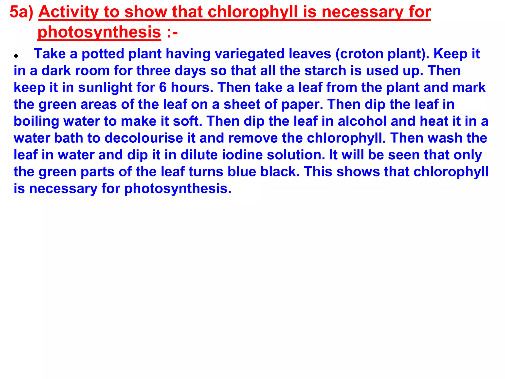5a) Activity to show that chlorophyll is necessary for
photosynthesis :-
● Take a potted plant having variegated leaves (croton plant). Keep it
in a dark room for three days so that all the starch is used up. Then
keep it in sunlight for 6 hours. Then take a leaf from the plant and mark
the green areas of the leaf on a sheet of paper. Then dip the leaf in
boiling water to make it soft. Then dip the leaf in alcohol and heat it in a
water bath to decolourise it and remove the chlorophyll. Then wash the
leaf in water and dip it in dilute iodine solution. It will be seen that only
the green parts of the leaf turns blue black. This shows that chlorophyll
is necessary for photosynthesis.
 