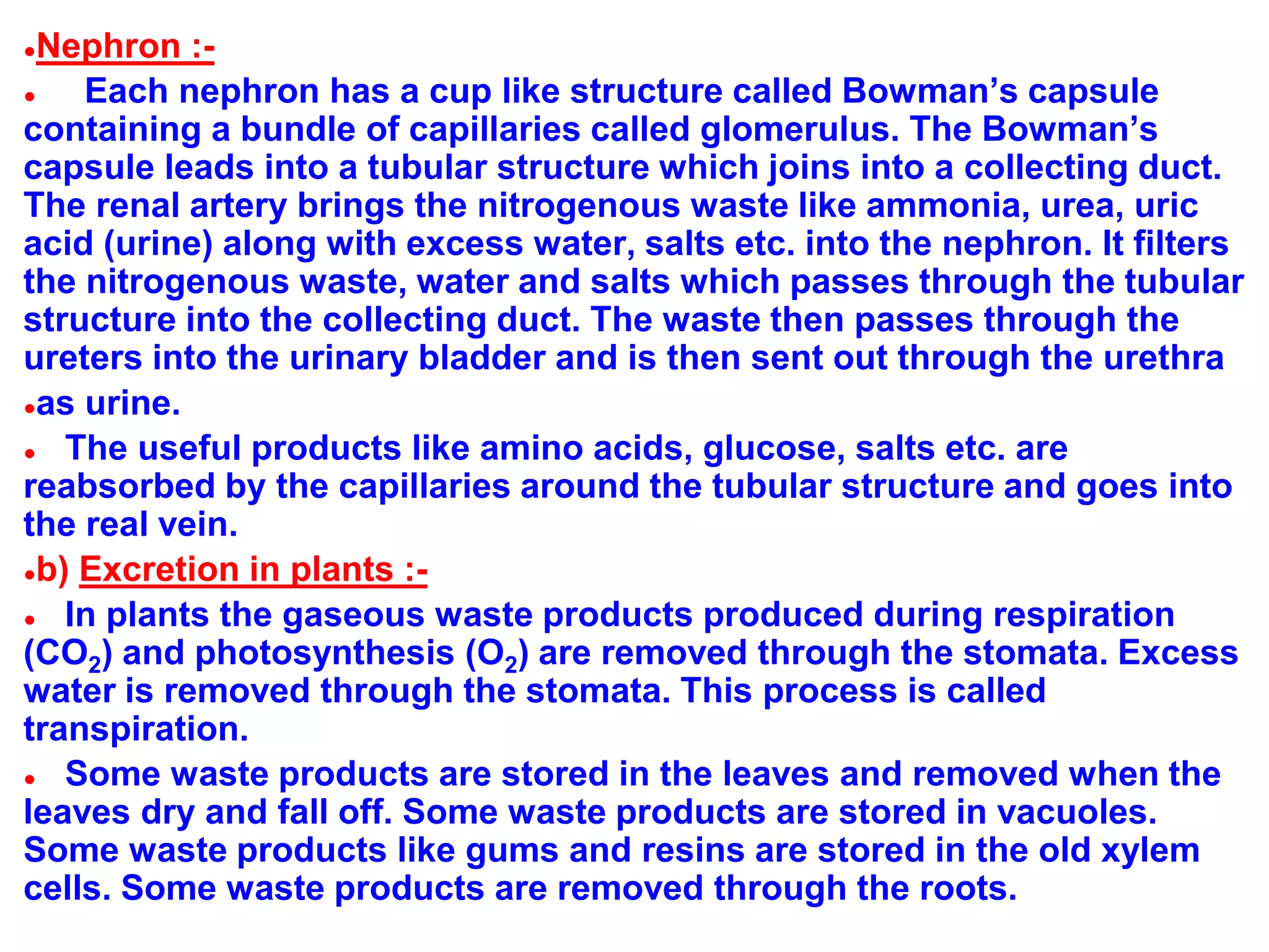 ●Nephron :-
● Each nephron has a cup like structure called Bowman’s capsule
containing a bundle of capillaries called glomerulus. The Bowman’s
capsule leads into a tubular structure which joins into a collecting duct.
The renal artery brings the nitrogenous waste like ammonia, urea, uric
acid (urine) along with excess water, salts etc. into the nephron. It filters
the nitrogenous waste, water and salts which passes through the tubular
structure into the collecting duct. The waste then passes through the
ureters into the urinary bladder and is then sent out through the urethra
●as urine.
● The useful products like amino acids, glucose, salts etc. are
reabsorbed by the capillaries around the tubular structure and goes into
the real vein.
●b) Excretion in plants :-
● In plants the gaseous waste products produced during respiration
(CO2) and photosynthesis (O2) are removed through the stomata. Excess
water is removed through the stomata. This process is called
transpiration.
● Some waste products are stored in the leaves and removed when the
leaves dry and fall off. Some waste products are stored in vacuoles.
Some waste products like gums and resins are stored in the old xylem
cells. Some waste products are removed through the roots.
 