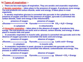 b) Types of respiration :-
● There are two main types of respiration. They are aerobic and anaerobic respiration.
●i) Aerobic respiration :- takes place in the presence of oxygen. It produces more energy.
The end products are carbon dioxide, water and energy. It takes place in most
organisms.
● In aerobic respiration glucose is converted into pyruvate in the cytoplasm in the
presence of oxygen and then in the presence of oxygen, pyruvate is converted into
carbon dioxide, water and energy in the mitochondria.
● presence of oxygen presence of oxygen
●Glucose Pyruvate CO2 + H2O + Energy
● in cytoplasm in mitochondria
●ii) Anaerobic respiration :- takes place in the absence of oxygen. It produces less
energy. The end products are lactic acid or ethanol, carbon dioxide, and energy. It takes
place in muscle cells and yeast.
● In anaerobic respiration in muscle cells, glucose is converted into pyruvate and in the
absence of oxygen pyruvate is converted into lactic acid and energy.
● presence of oxygen absence of oxygen
●Glucose Pyruvate Lactic acid + Energy
● in cytoplasm in muscle cells
● In anaerobic respiration in yeast, glucose is converted into pyruvate and in the
absence of oxygen pyruvate is converted into ethanol, carbondioxide and energy. This
process is called fermentation.
● presence of oxygen absence of oxygen
●Glucose Pyruvate Ethanol + CO2 + Energy
● in cytoplasm in yeast
 