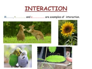 INTERACTION
M……….., t…………….. and c………………… are examples of interaction.
 