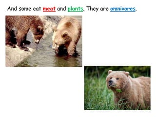 And some eat meat and plants. They are omnivores.
 