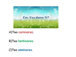 A)Two carnivores.
B)Two herbivores.
C)Two omnivores.
 