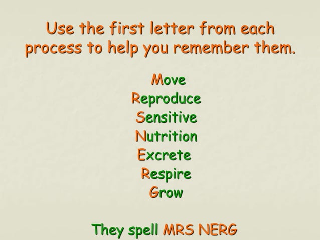 Life Processes | PPT