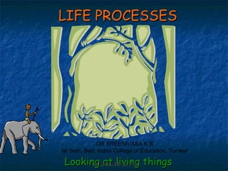 LIFE PROCESSESLIFE PROCESSES
Looking at living thingsLooking at living things
DR SREENIVASA K B
Ist Sem, Bed, Indira College of Education, Tumkur
DR SREENIVASA K BDR SREENIVASA K B
 