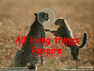 3
All living things
Respire
 