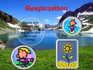 Plants and
animals use
the oxygen in
the air to turn
food into
energy.
 