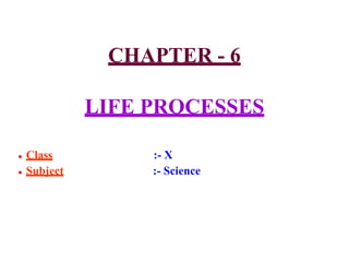 CHAPTER - 6
LIFE PROCESSES
● Class
● Subject
:- X
:- Science
 