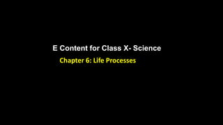 E Content for Class X- Science
Chapter 6: Life Processes
 