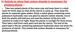 b) Activity to show that carbon dioxide is necessary for
photosynthesis :-
● Take two potted plants of the same size and keep them in a dark
room for three days so that all the starch is used up. Then keep the
plants on separate glass plates. Keep a watch glass containing some
potassium hydroxide near one plant to absorb carbon dioxide. Cover
both the plants with bell jars and seal the bottom of the jars with
vaseline to make it air tight. Keep the plants in sunlight for three hours.
Then take a leaf from each plant and test for starch. The leaf of the
plant kept in the jar containing potassium hydroxide does not show the
presence of starch. This shows that carbon dioxide is necessary for
photosynthesis.
 