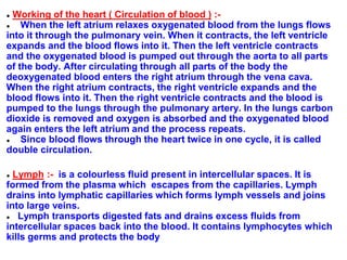 ● Working of the heart ( Circulation of blood ) :-
● When the left atrium relaxes oxygenated blood from the lungs flows
into it through the pulmonary vein. When it contracts, the left ventricle
expands and the blood flows into it. Then the left ventricle contracts
and the oxygenated blood is pumped out through the aorta to all parts
of the body. After circulating through all parts of the body the
deoxygenated blood enters the right atrium through the vena cava.
When the right atrium contracts, the right ventricle expands and the
blood flows into it. Then the right ventricle contracts and the blood is
pumped to the lungs through the pulmonary artery. In the lungs carbon
dioxide is removed and oxygen is absorbed and the oxygenated blood
again enters the left atrium and the process repeats.
● Since blood flows through the heart twice in one cycle, it is called
double circulation.
● Lymph :- is a colourless fluid present in intercellular spaces. It is
formed from the plasma which escapes from the capillaries. Lymph
drains into lymphatic capillaries which forms lymph vessels and joins
into large veins.
● Lymph transports digested fats and drains excess fluids from
intercellular spaces back into the blood. It contains lymphocytes which
kills germs and protects the body
 