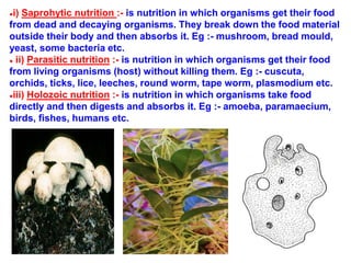 ●i) Saprohytic nutrition :- is nutrition in which organisms get their food
from dead and decaying organisms. They break down the food material
outside their body and then absorbs it. Eg :- mushroom, bread mould,
yeast, some bacteria etc.
● ii) Parasitic nutrition :- is nutrition in which organisms get their food
from living organisms (host) without killing them. Eg :- cuscuta,
orchids, ticks, lice, leeches, round worm, tape worm, plasmodium etc.
●iii) Holozoic nutrition :- is nutrition in which organisms take food
directly and then digests and absorbs it. Eg :- amoeba, paramaecium,
birds, fishes, humans etc.
 