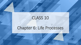 CLASS 10
Chapter 6: Life Processes
 