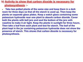 b) Activity to show that carbon dioxide is necessary for
photosynthesis :-
● Take two potted plants of the same size and keep them in a dark
room for three days so that all the starch is used up. Then keep the
plants on separate glass plates. Keep a watch glass containing some
potassium hydroxide near one plant to absorb carbon dioxide. Cover
both the plants with bell jars and seal the bottom of the jars with
vaseline to make it air tight. Keep the plants in sunlight for three hours.
Then take a leaf from each plant and test for starch. The leaf of the
plant kept in the jar containing potassium hydroxide does not show the
presence of starch. This shows that carbon dioxide is necessary for
photosynthesis.
 