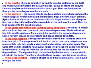 ● In the mouth :- the food is broken down into smaller particles by the teeth
and mixed with saliva from the salivary glands. Saliva contains the enzyme
salivary amylase which converts starch into sugar. Then the food passes
through the oesophagus into the stomach.
● In the stomach :- the gastric glands produce gastric juice which contains the
enzyme pepsin, hydrochloric acid and mucous. Pepsin breaks down proteins.
Hydrochloric acid makes the medium acidic and helps in the action of pepsin.
Mucous protects the walls of the stomach from the action of the acid. Then the
food passes into the small intestine.
● In the upper part of the small intestine called duodenum :- the food is mixed
with bile from liver and pancreatic juice from the pancreas. Bile breaks down
fats into smaller globules. Pancreatic juice contains the enzymes trypsin and
lipase. Trypsin breaks down proteins and lipase breaks down fats.
● In the small intestine :- the glands the walls of the small intestine produces
intestinal juice. The enzymes of the intestinal juice coverts carbohydrates into
glucose, fats into fatty acids and glycerol and proteins into amino acids. The
walls of the small intestine has several finger like projections called villi having
blood vessels. It helps to increase the surface area for the absorption of
digested food. The digested food is absorbed by the blood and transported to
all cells in the body. Then the undigested food passes into the large intestine.
● In the large intestine :- water is absorbed and the waste material is removed
through the anus.
●
 