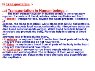 8) Transportation :-
●a) Transportation in Human beings :-
● The main transport system in human beings is the circulatory
●system. It consists of blood, arteries, veins capillaries and heart.
● i) Blood :- transports food, oxygen and waste products. It consists
of
●plasma, red blood cells (RBC), white blood cells (WBC) and platelets.
●Plasma transports food, water, carbondioxide, nitrogenous waste etc.
●Red blood cells transports oxygen. White blood cells kills harmful
●microbes and protects the body. Platelets help in clotting of blood
and
●prevents loss of blood during injury.
● ii) Arteries :- carry pure blood from the heart to all parts of the body.
●They are thick walled and do not have valves.
●iii) Veins :- carry impure blood from all parts of the body to the heart.
●They are thin walled and have valves.
●iv) Capillaries :- are very narrow blood vessels which connects
●arteries and veins together. The exchange of food, water, oxygen,
●carbon dioxide etc. between the blood and cells take place through
●the capillaries.
 