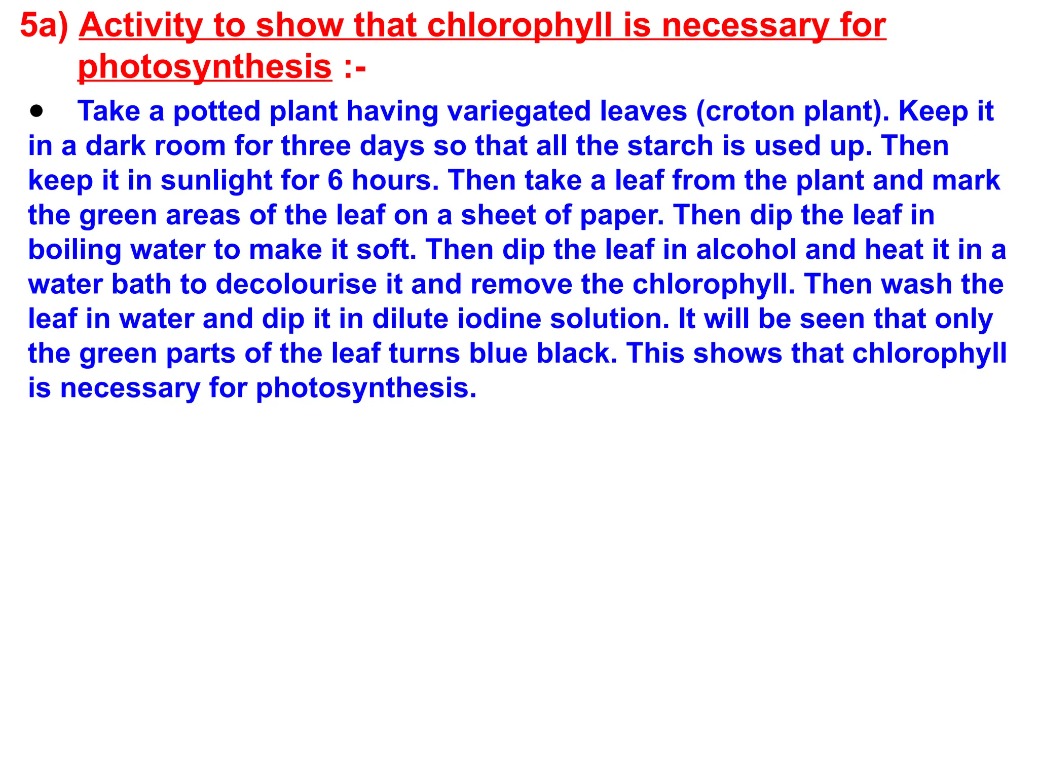 5a) Activity to show that chlorophyll is necessary for
photosynthesis :-
● Take a potted plant having variegated leaves (croton plant). Keep it
in a dark room for three days so that all the starch is used up. Then
keep it in sunlight for 6 hours. Then take a leaf from the plant and mark
the green areas of the leaf on a sheet of paper. Then dip the leaf in
boiling water to make it soft. Then dip the leaf in alcohol and heat it in a
water bath to decolourise it and remove the chlorophyll. Then wash the
leaf in water and dip it in dilute iodine solution. It will be seen that only
the green parts of the leaf turns blue black. This shows that chlorophyll
is necessary for photosynthesis.
 