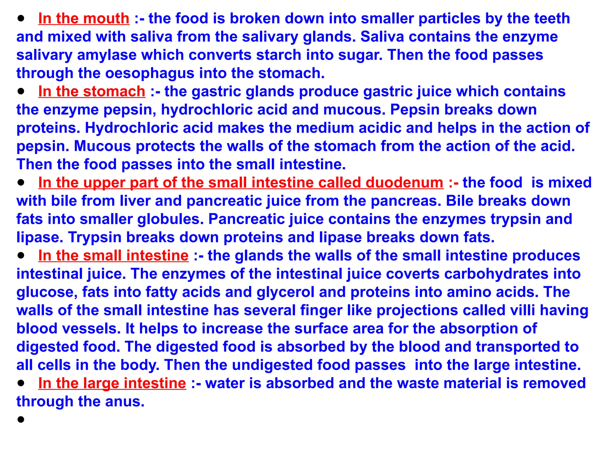● In the mouth :- the food is broken down into smaller particles by the teeth
and mixed with saliva from the salivary glands. Saliva contains the enzyme
salivary amylase which converts starch into sugar. Then the food passes
through the oesophagus into the stomach.
● In the stomach :- the gastric glands produce gastric juice which contains
the enzyme pepsin, hydrochloric acid and mucous. Pepsin breaks down
proteins. Hydrochloric acid makes the medium acidic and helps in the action of
pepsin. Mucous protects the walls of the stomach from the action of the acid.
Then the food passes into the small intestine.
● In the upper part of the small intestine called duodenum :- the food is mixed
with bile from liver and pancreatic juice from the pancreas. Bile breaks down
fats into smaller globules. Pancreatic juice contains the enzymes trypsin and
lipase. Trypsin breaks down proteins and lipase breaks down fats.
● In the small intestine :- the glands the walls of the small intestine produces
intestinal juice. The enzymes of the intestinal juice coverts carbohydrates into
glucose, fats into fatty acids and glycerol and proteins into amino acids. The
walls of the small intestine has several finger like projections called villi having
blood vessels. It helps to increase the surface area for the absorption of
digested food. The digested food is absorbed by the blood and transported to
all cells in the body. Then the undigested food passes into the large intestine.
● In the large intestine :- water is absorbed and the waste material is removed
through the anus.
●
 